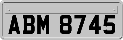 ABM8745