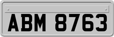 ABM8763