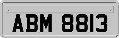 ABM8813