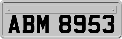 ABM8953