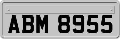 ABM8955