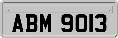 ABM9013