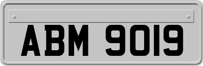 ABM9019