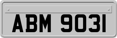 ABM9031