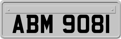 ABM9081