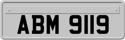 ABM9119