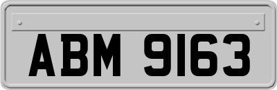 ABM9163