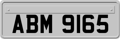 ABM9165