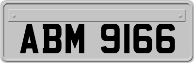 ABM9166