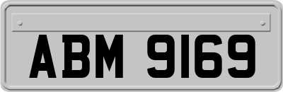 ABM9169