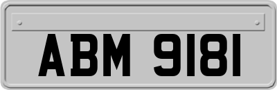 ABM9181