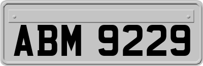 ABM9229