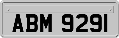 ABM9291