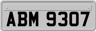 ABM9307