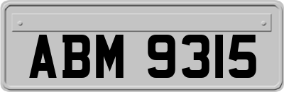 ABM9315