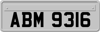 ABM9316