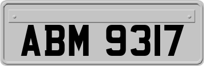 ABM9317