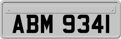 ABM9341