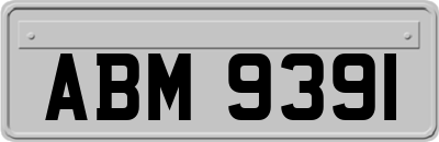 ABM9391