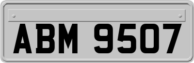 ABM9507