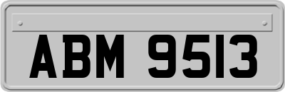 ABM9513