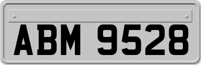 ABM9528