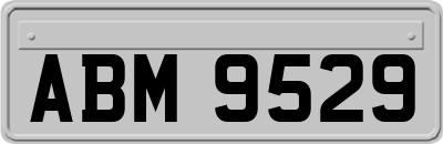 ABM9529