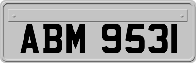 ABM9531