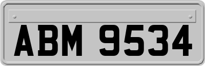 ABM9534