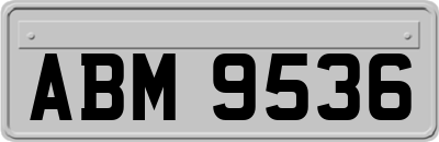ABM9536