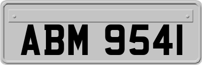 ABM9541
