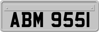 ABM9551