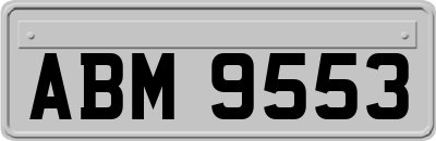 ABM9553