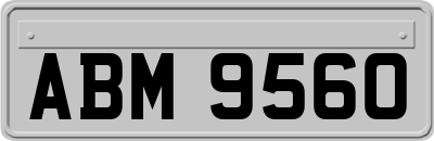 ABM9560