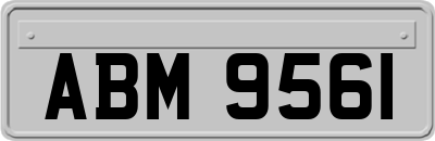 ABM9561