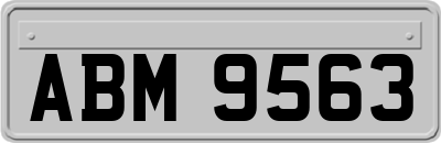 ABM9563