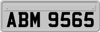 ABM9565