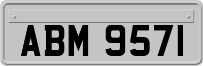 ABM9571