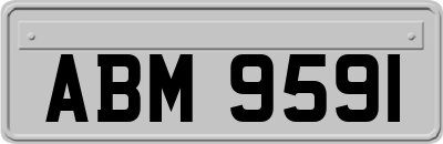 ABM9591