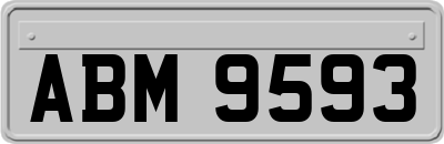 ABM9593
