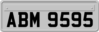 ABM9595