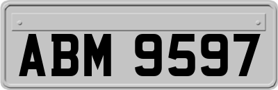 ABM9597