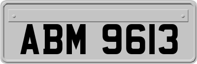ABM9613