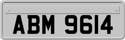 ABM9614