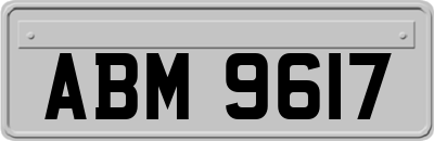 ABM9617