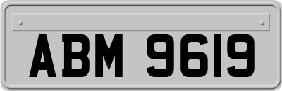 ABM9619