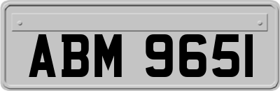 ABM9651