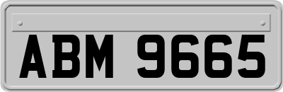 ABM9665