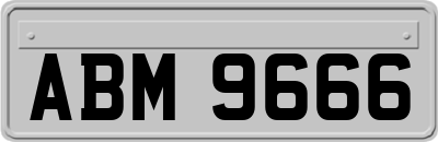 ABM9666