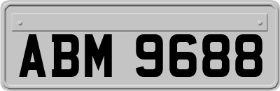 ABM9688